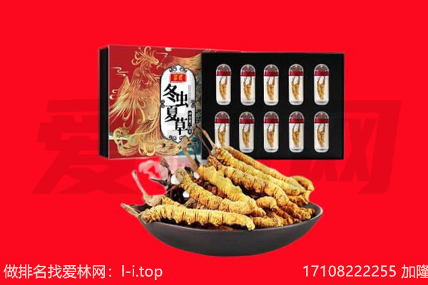 凉山州昭觉回收虫草.jpg